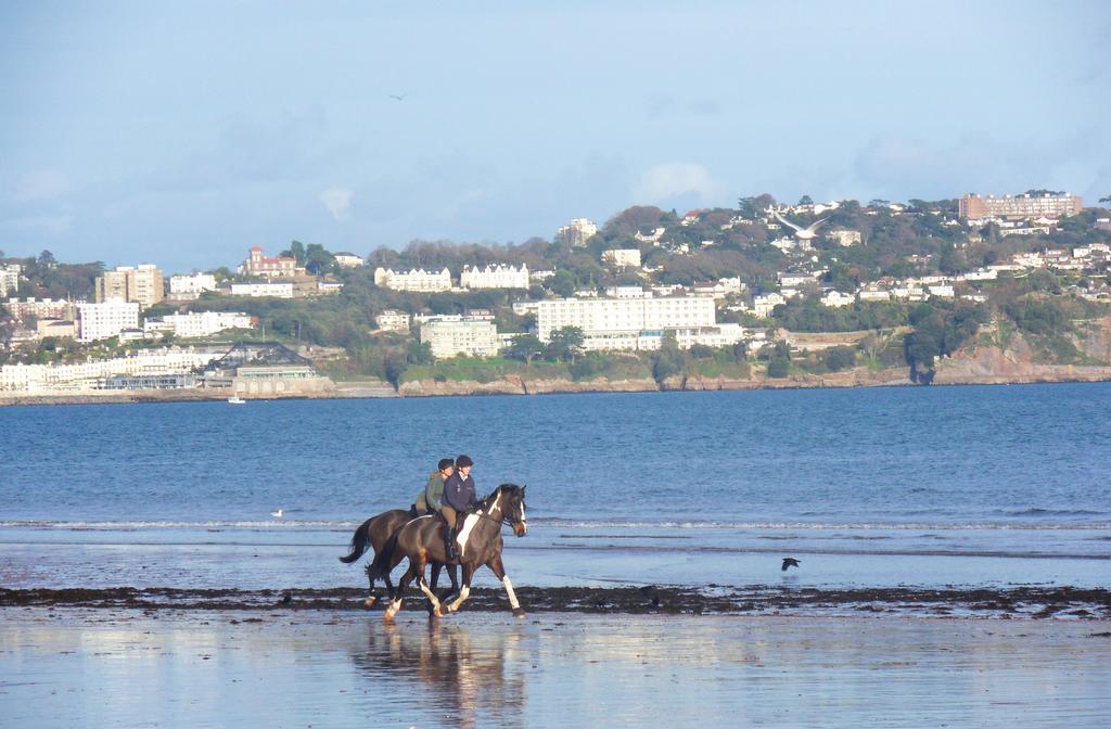 Rosemead Guest House Paignton Esterno foto
